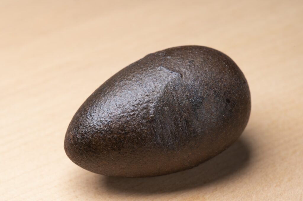 鉄玉子