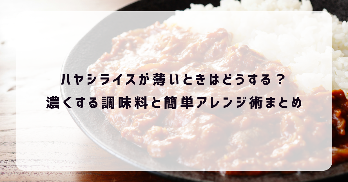 ハヤシライス　薄い